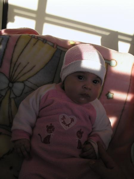 hiba